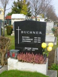 Buchner; Vukan