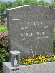 Fleck; Waschitschek