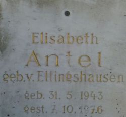 Antel; von Ettingshausen
