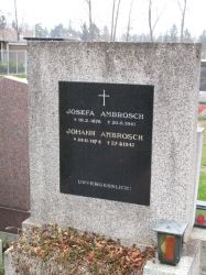 Ambrosch