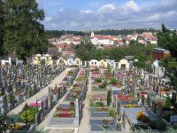 Friedhof Zwettl