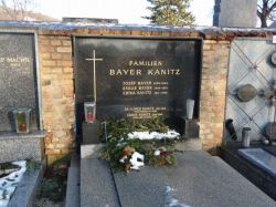 Bayer; Kanitz