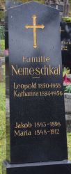 Nemeschkal