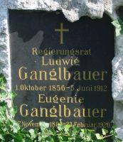 Ganglbauer