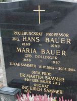 Bauer; Dollinger; Sammer
