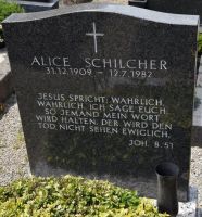Schilcher