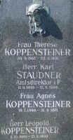 Koppensteiner; Staudner