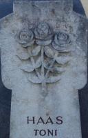 Pflanzen Symbol-Rose