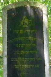 Jüdisches Symbol-Baum