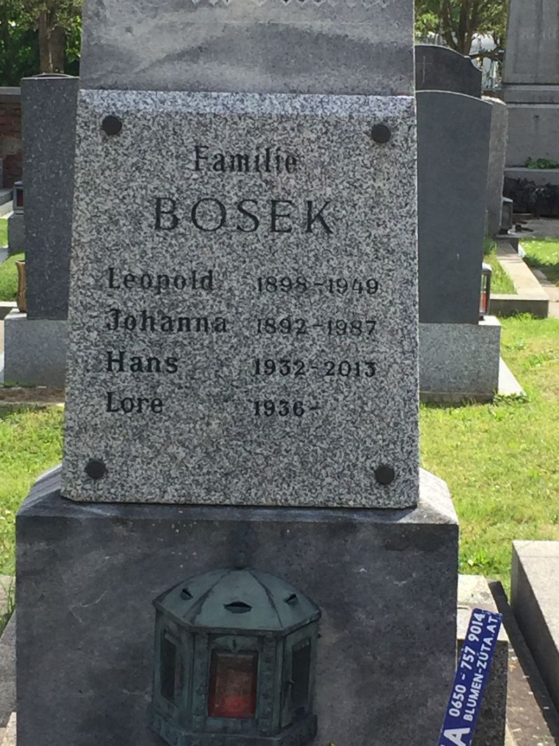 Bosek