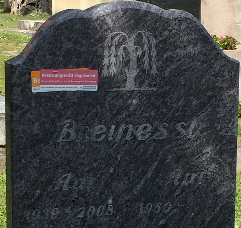 Adolf Breinessl