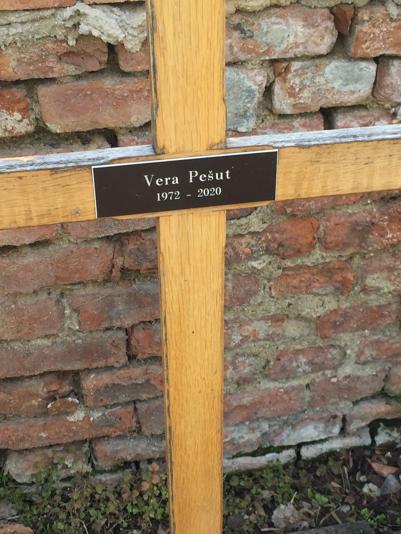 Pesut