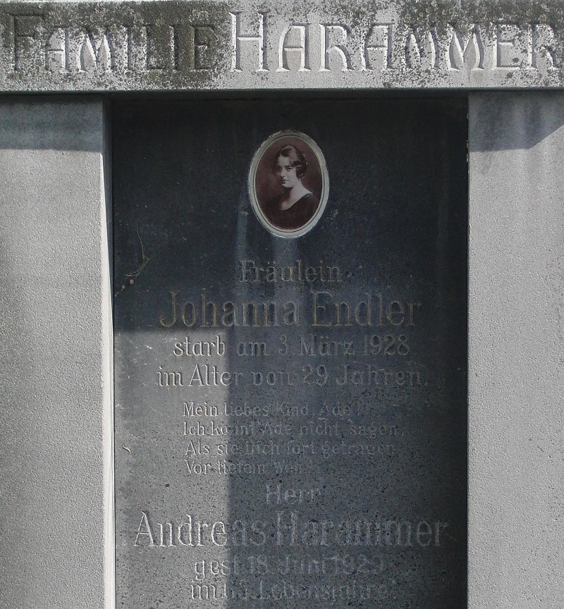 Harammer; Endler