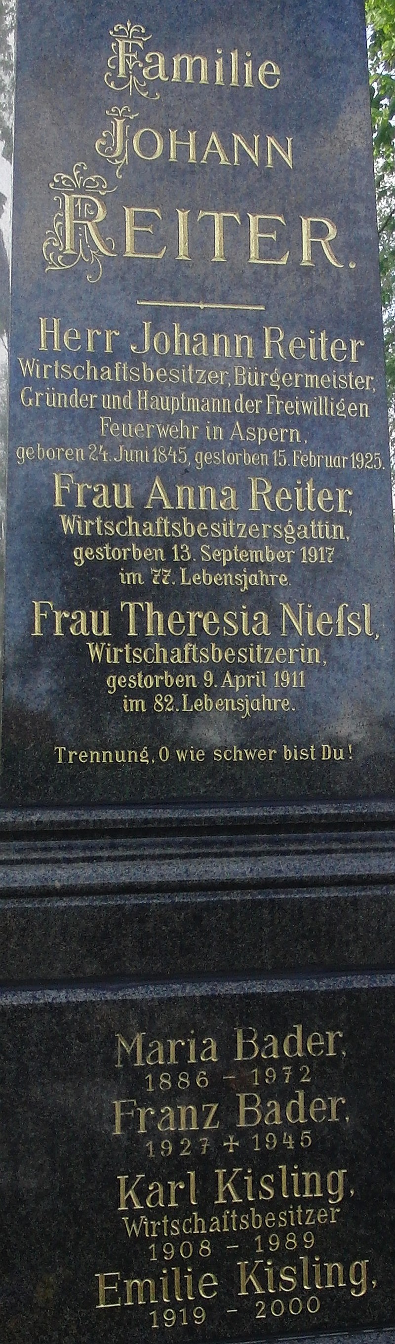 Reiter; Niessl; Bader; Kisling