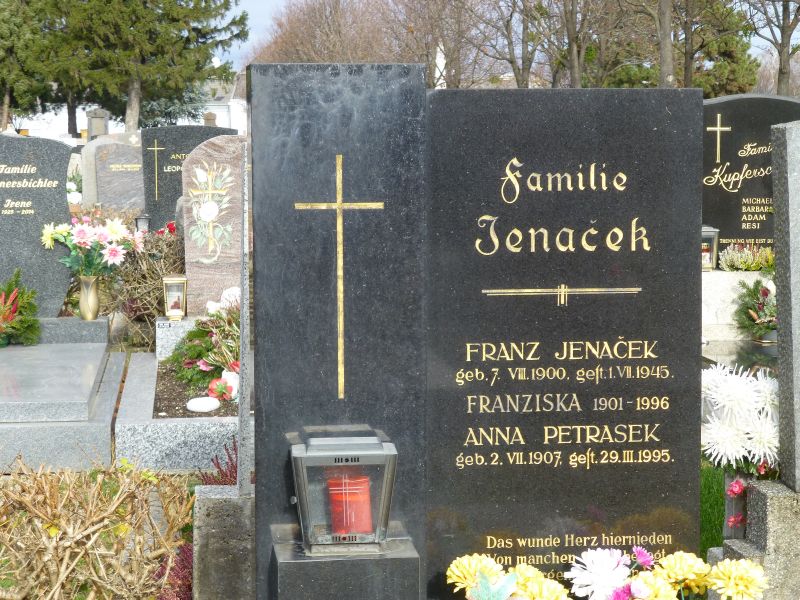 Jenacek; Petrasek