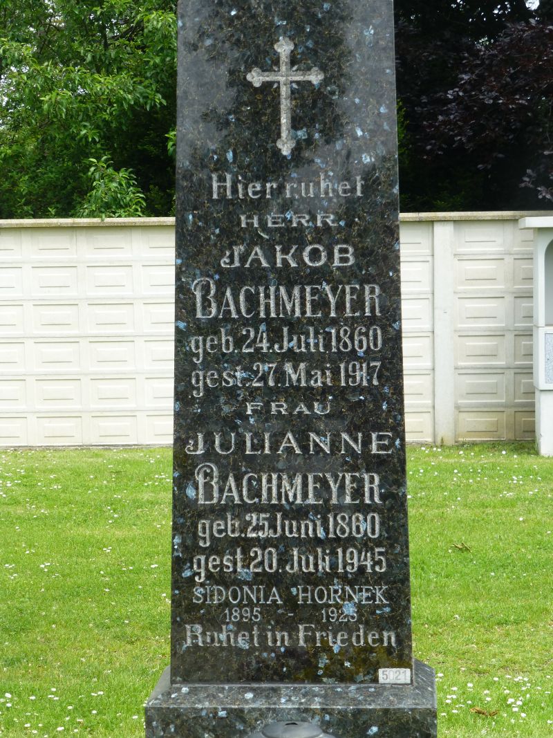 Bachmeyer; Hornek
