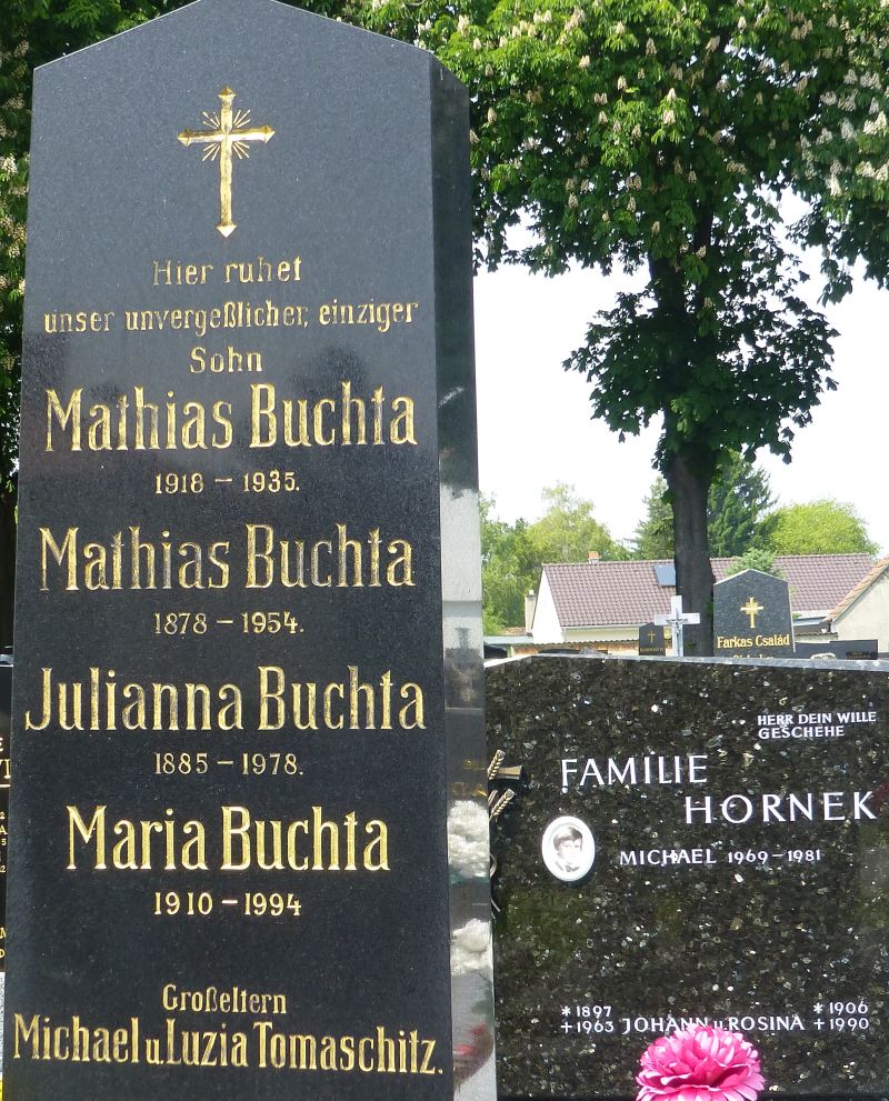 Buchta; Tomaschitz; Hornek