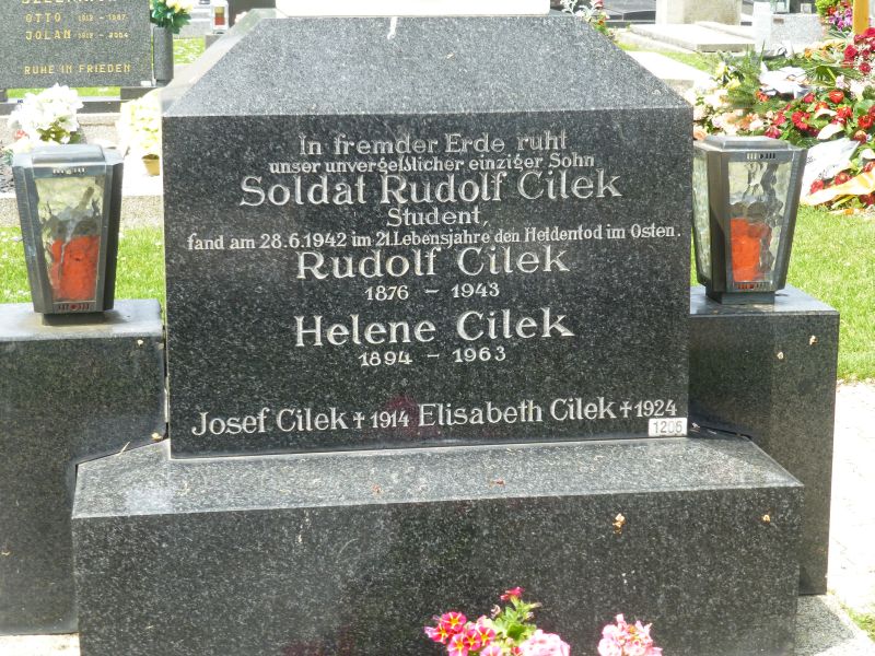 Cilek