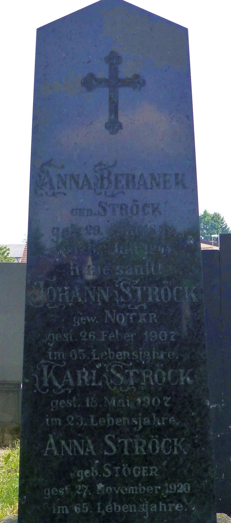 Ströck; Beranek; Stögner