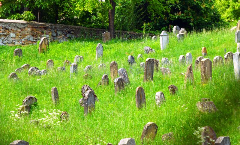 Friedhof