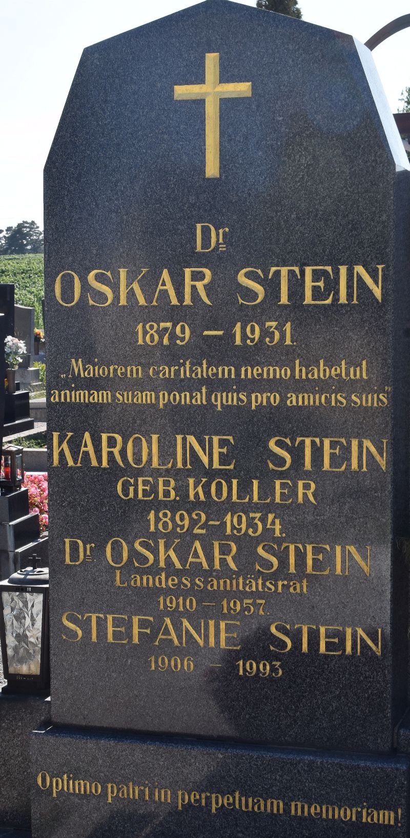 Stein; Koller