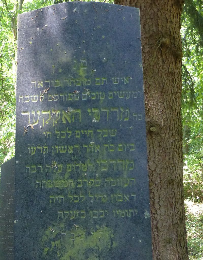 Unbekannt 51