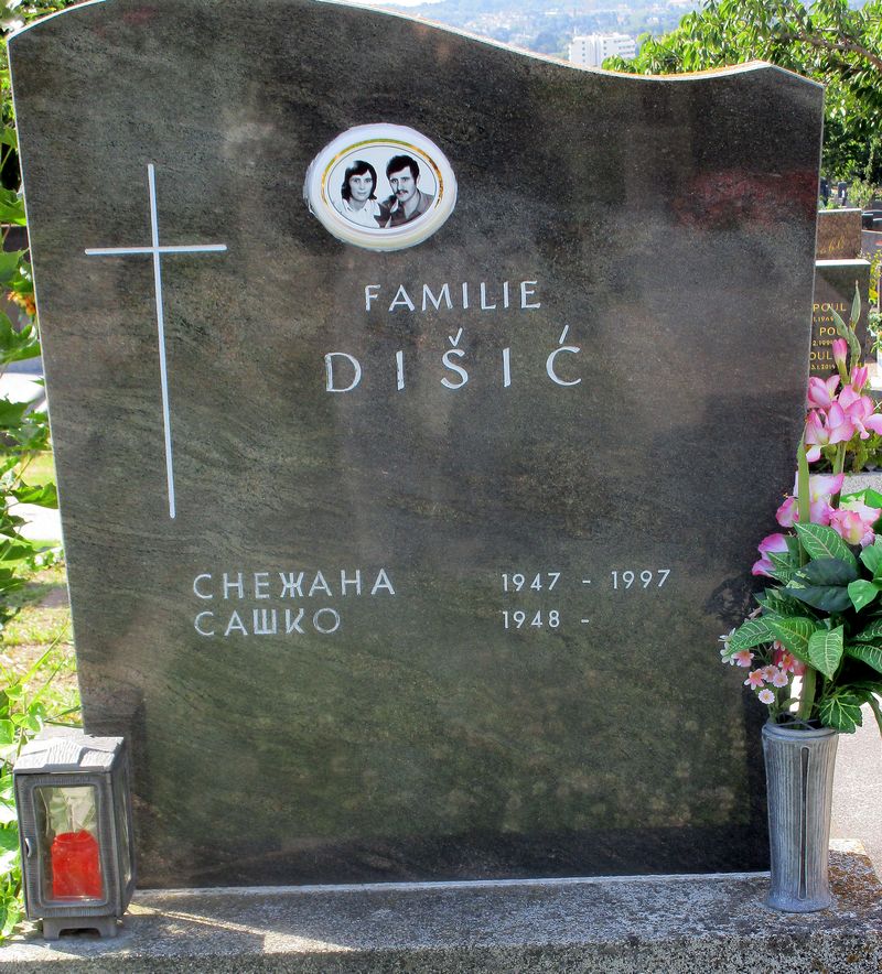 Disic