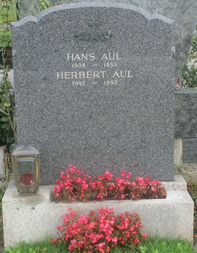 Aul