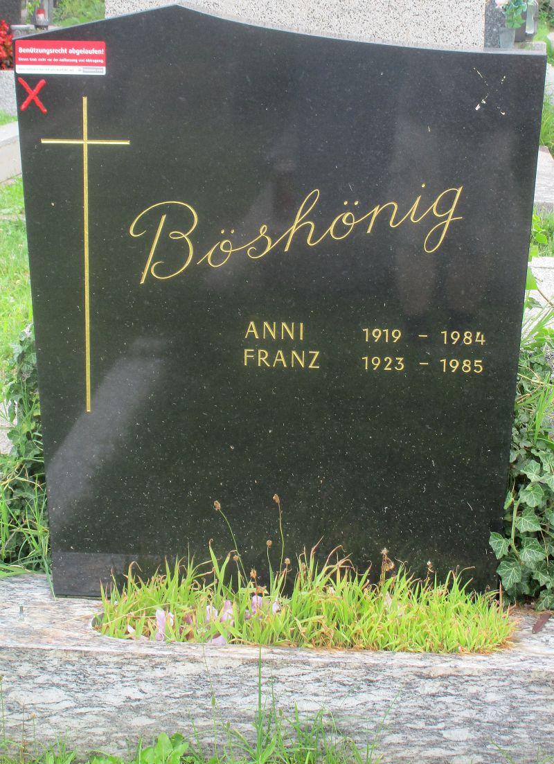 Böshönig