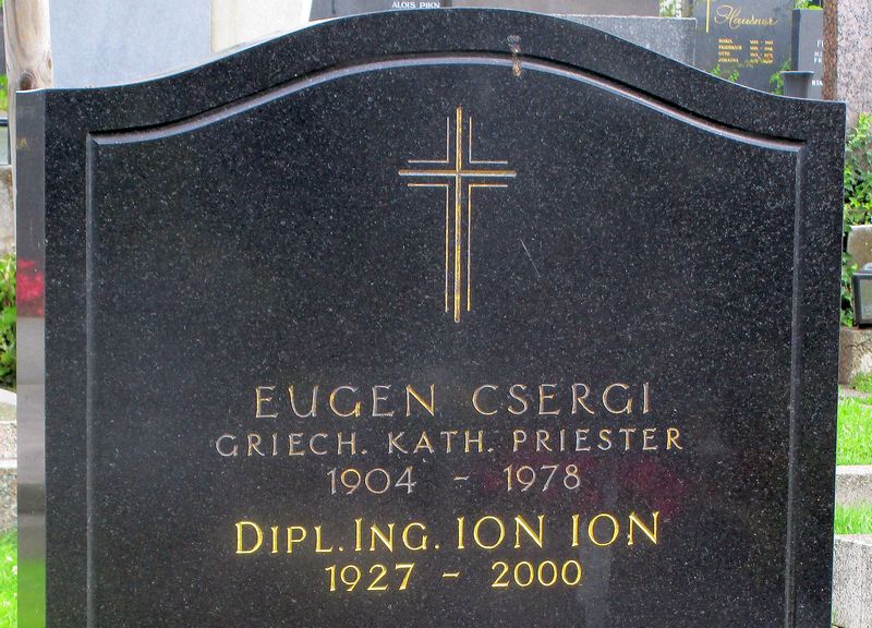Csergi; Ion