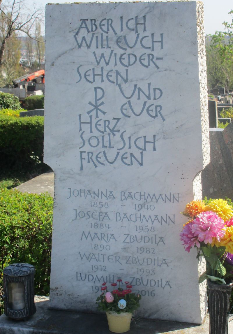 Bachmann; Zbudila