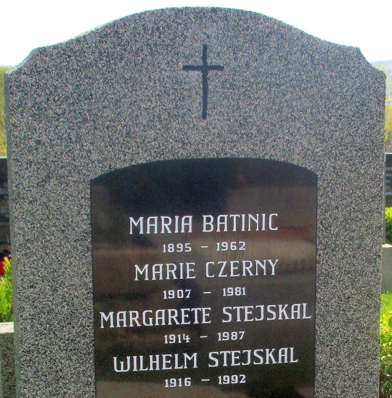 Batinic; Czerny; Stejskal