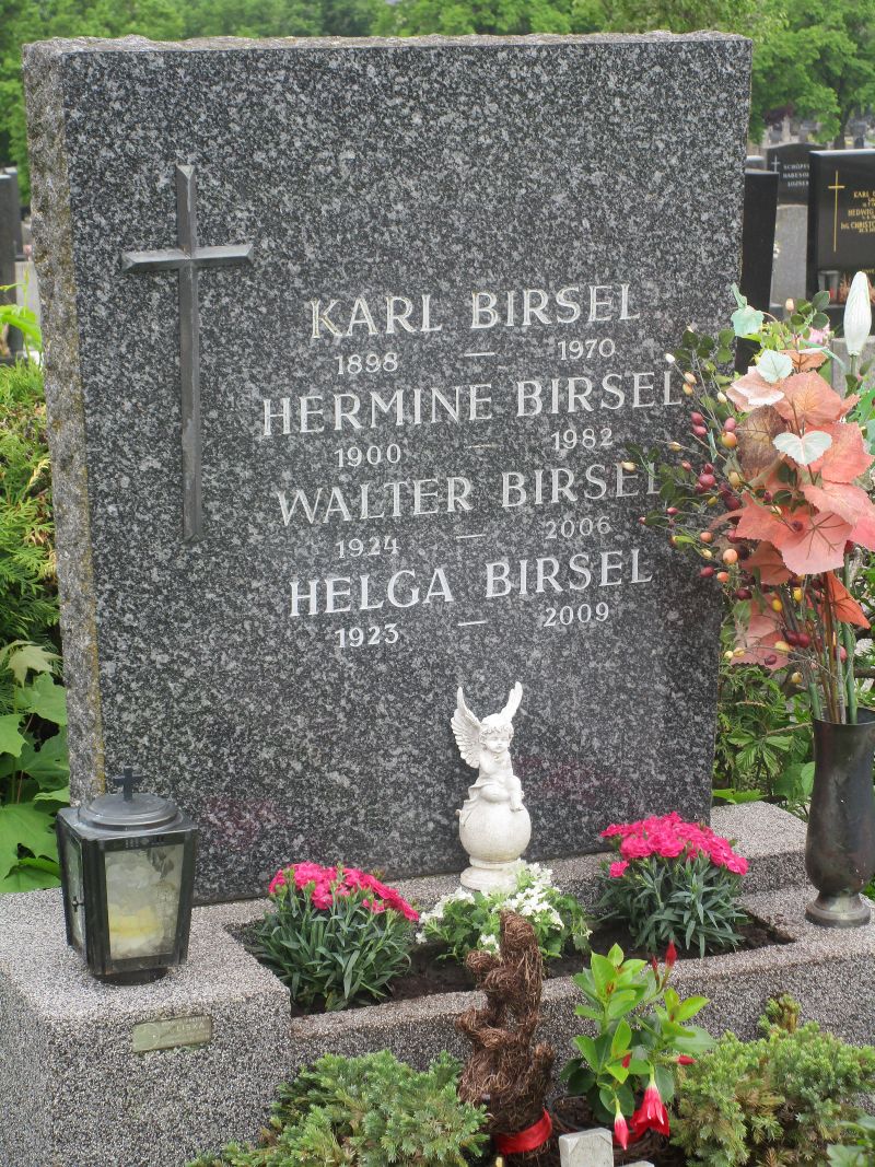 Birsel
