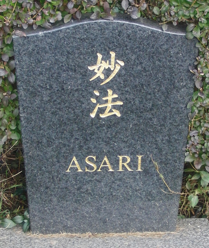 Asari