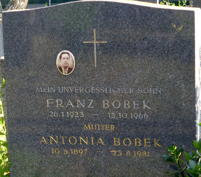 Bobek