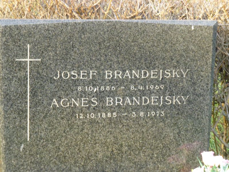 Brandejsky