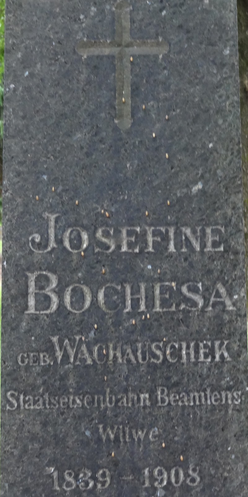 Bochesa geb. Wachauschek