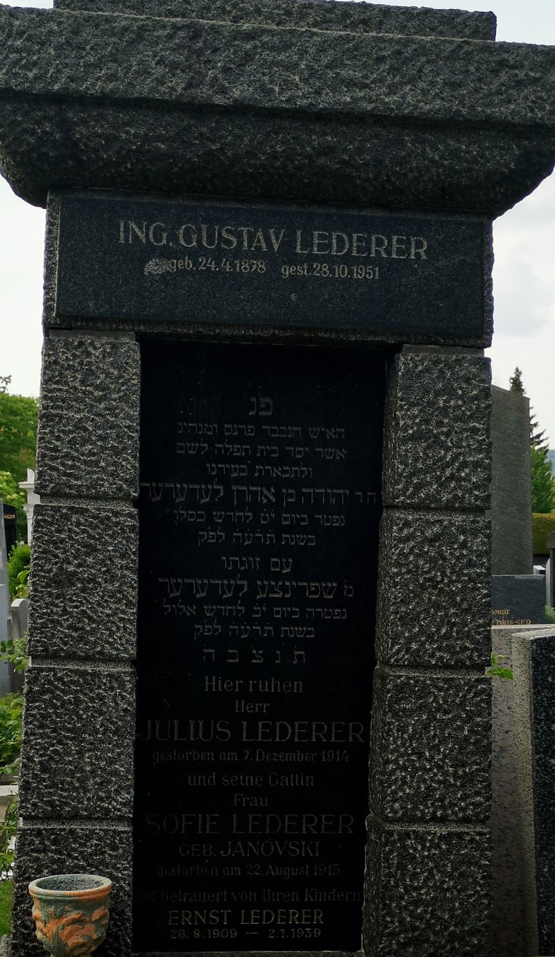 Lederer; Janovski