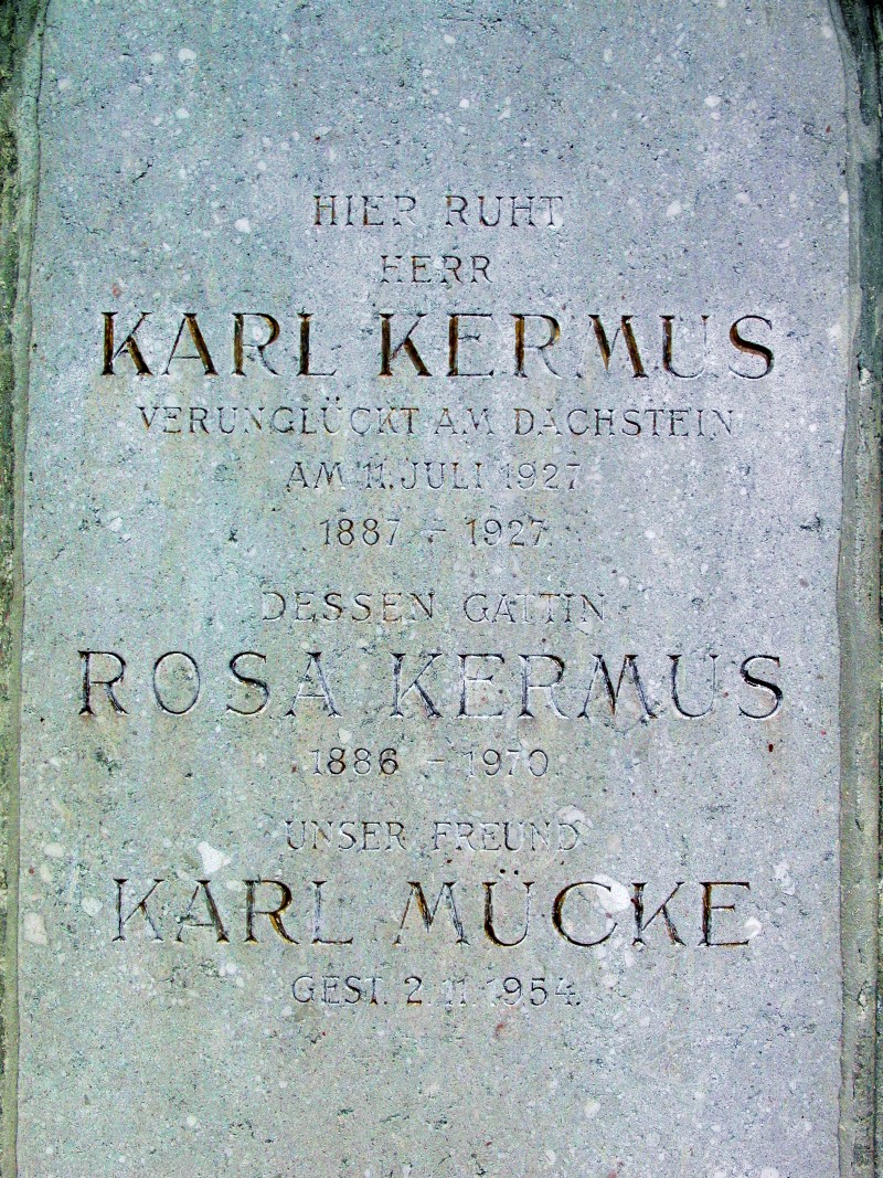Kermus; Mücke