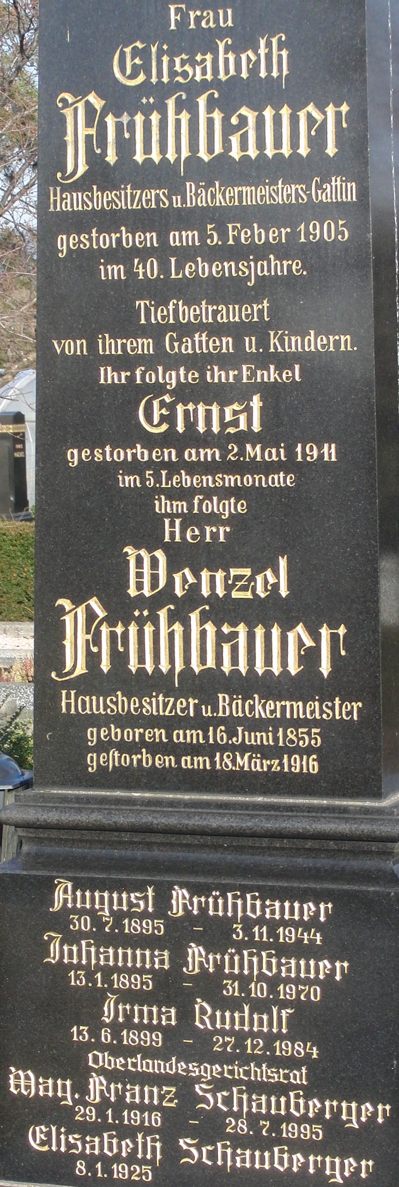 Frühbauer; Rudolf; Schauberger