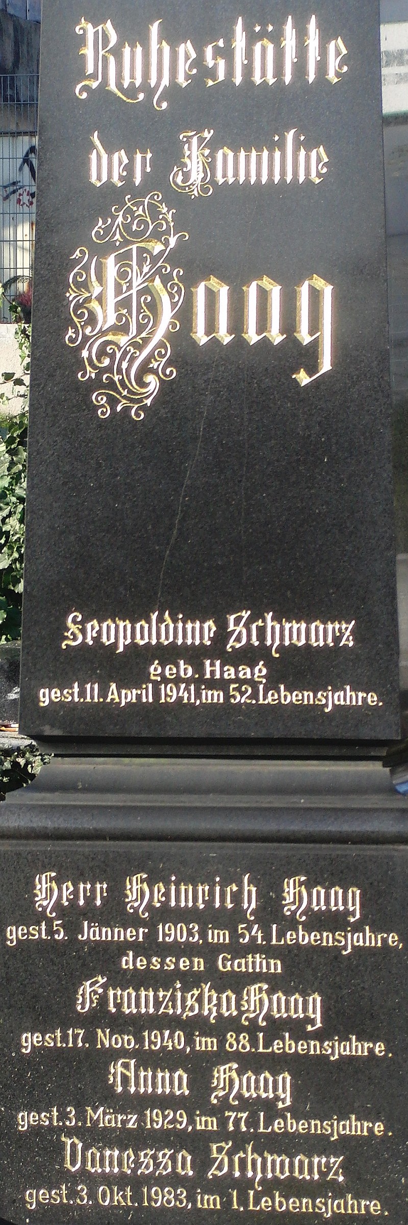 Haag; Schwarz