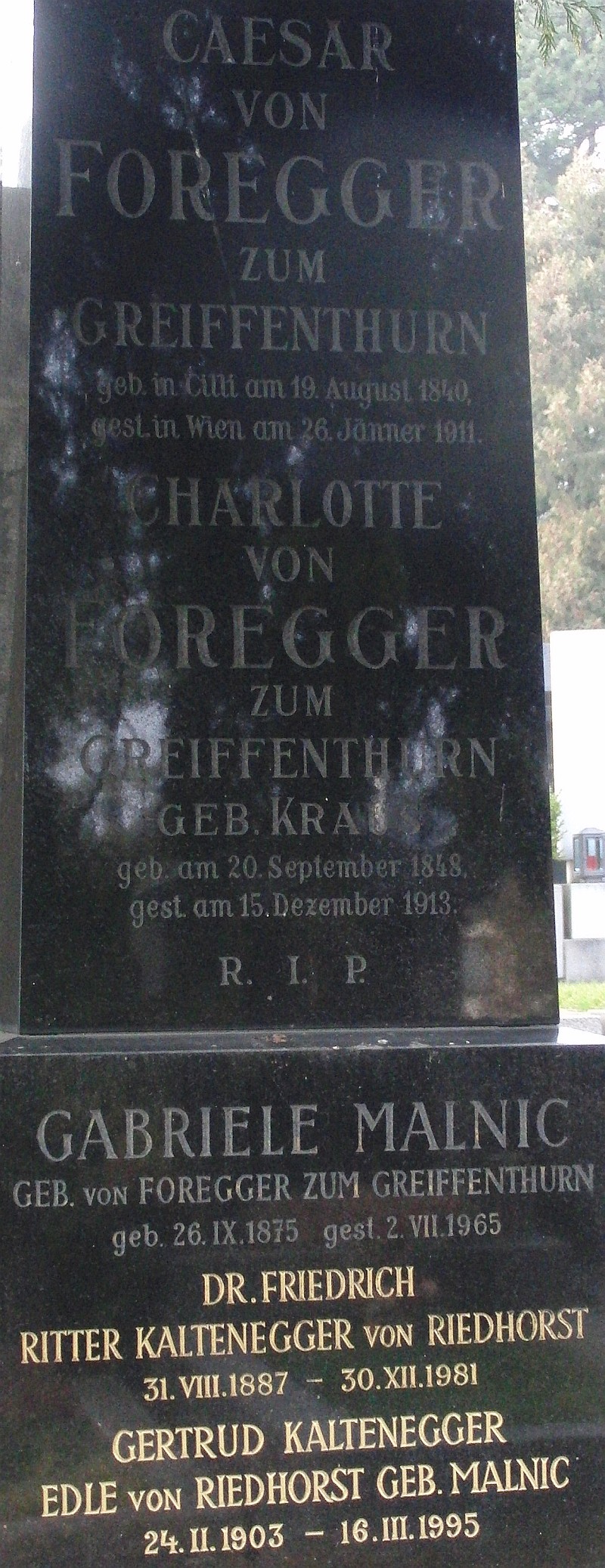 von Foregger zum Greiffenthurn; Kaltenegger von Riedhorst; von Foregger zum Greiffenthurn geb. Krauss; Kaltenegger von Riedhorst geb. Malnic