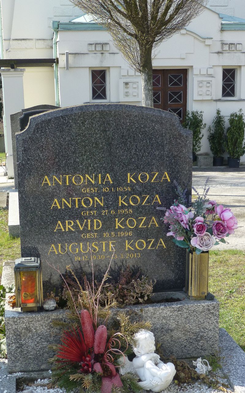 Koza