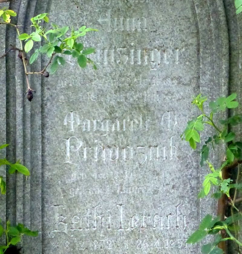 Privoznik; Lerach