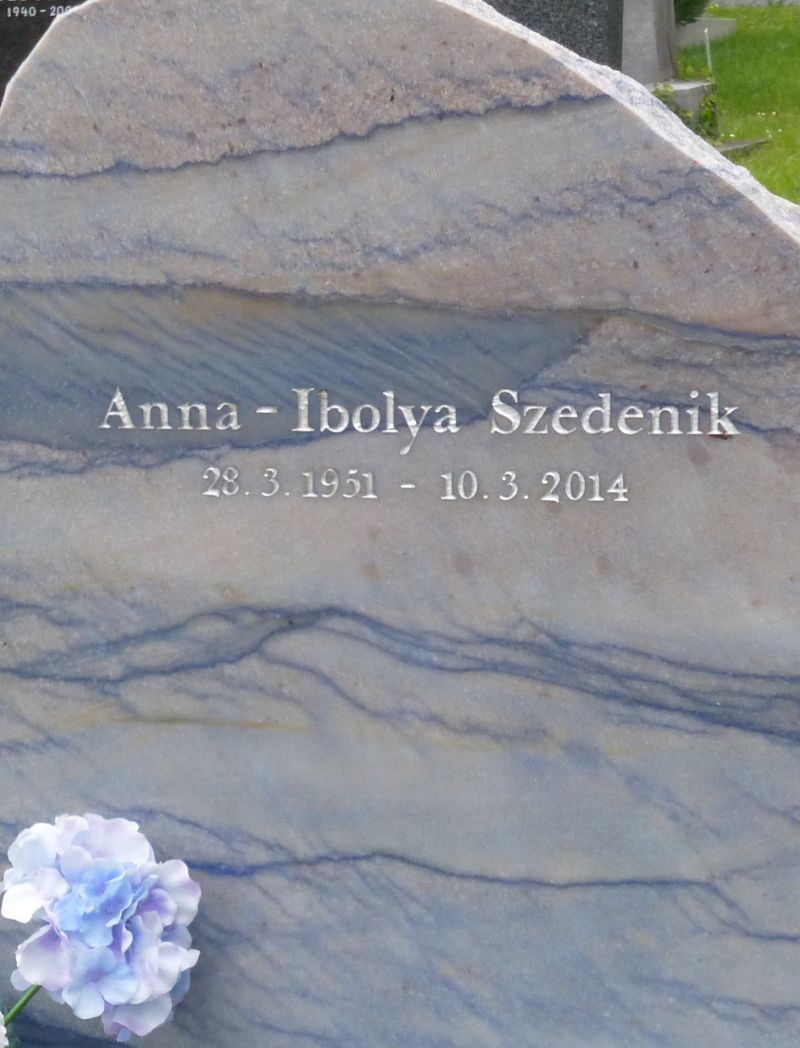 Szedenik
