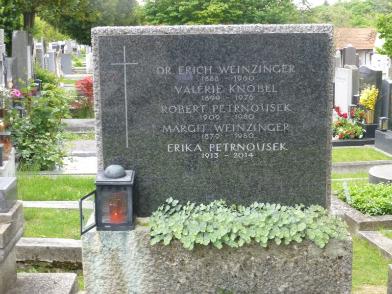 Weinzinger; Knobel; Petrnousek