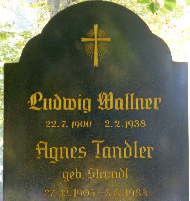 Wänger; Schmid; Brinek