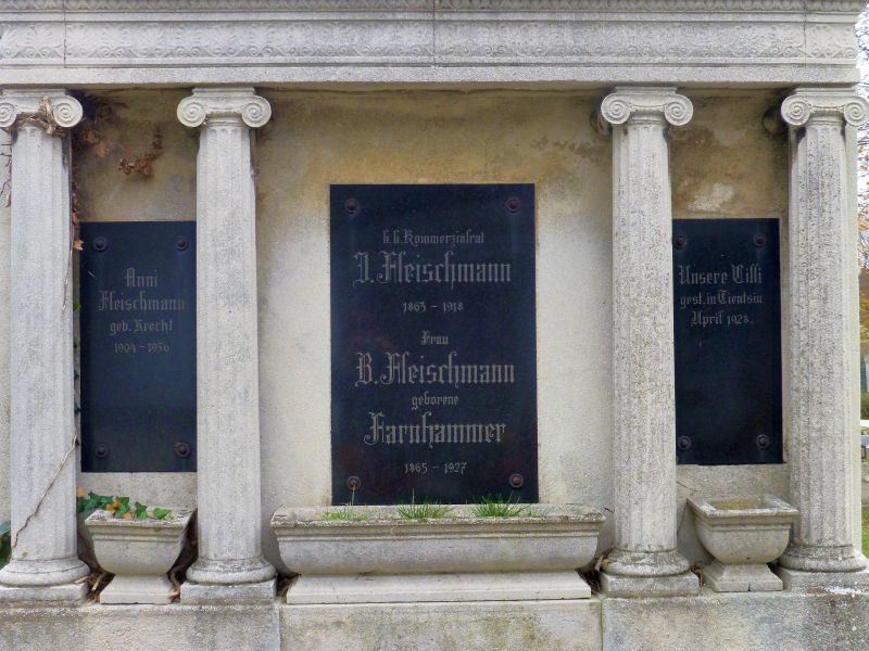 Fleischmann; Farnhammer; Krechl