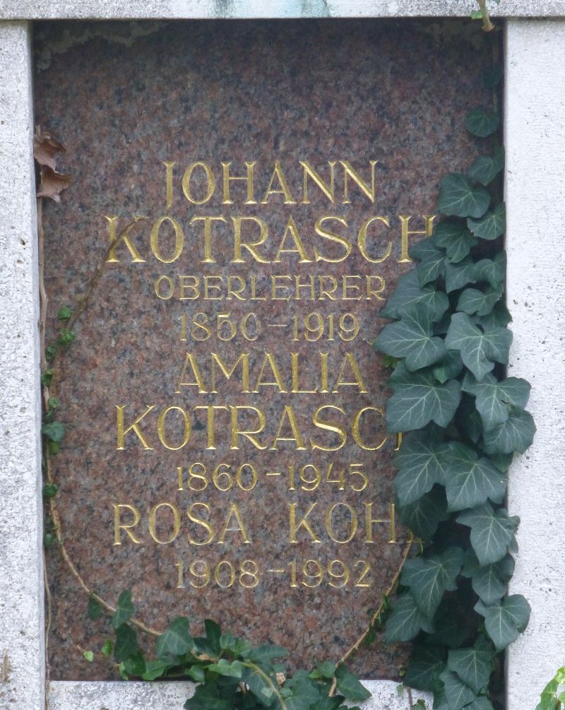 Kotrasch; Koh