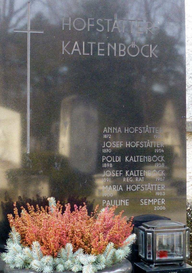 Hofstätter; Kaltenböck; Semper